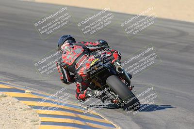 media/Nov-12-2023-SoCal Trackdays (Sun) [[5d1fba4e7d]]/Turn 10 Backside (115pm)/